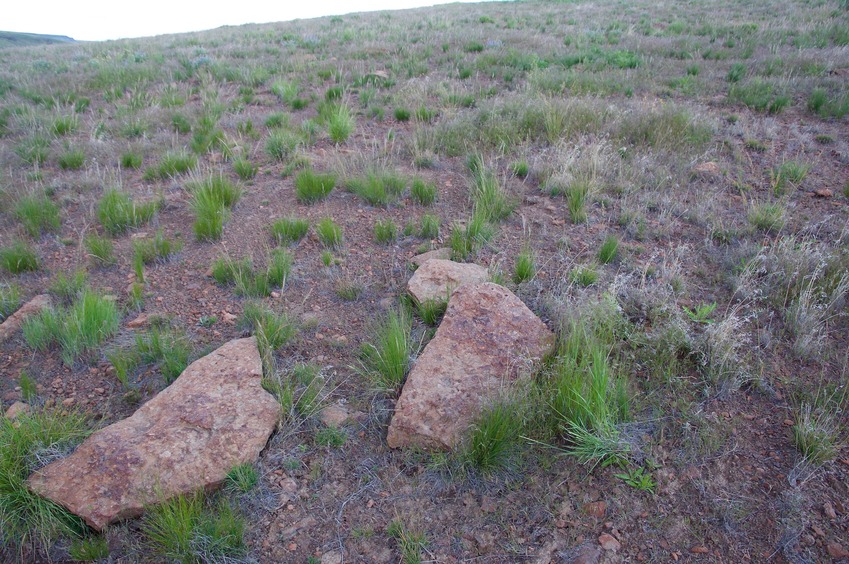 The confluence point lies on a rock-strewn hillside. Fortunately, these rocks appear to be natural; not a rock cairn
