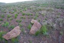 #5: The confluence point lies on a rock-strewn hillside. Fortunately, these rocks appear to be natural; not a rock cairn