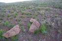 #5: The confluence point lies on a rock-strewn hillside. Fortunately, these rocks appear to be natural; not a rock cairn