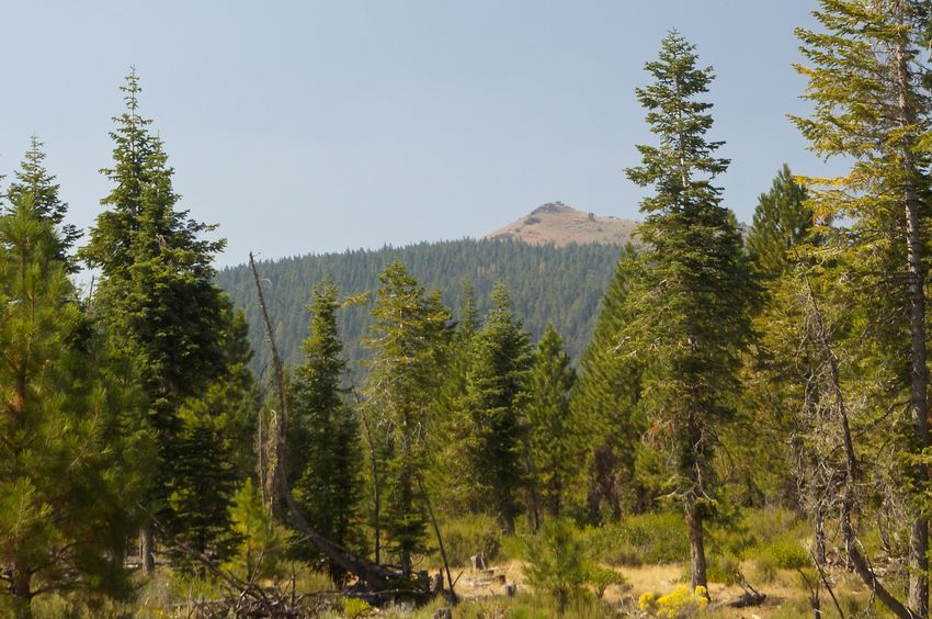 Hager Mountain, from near the confluence point