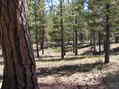 #3: View east