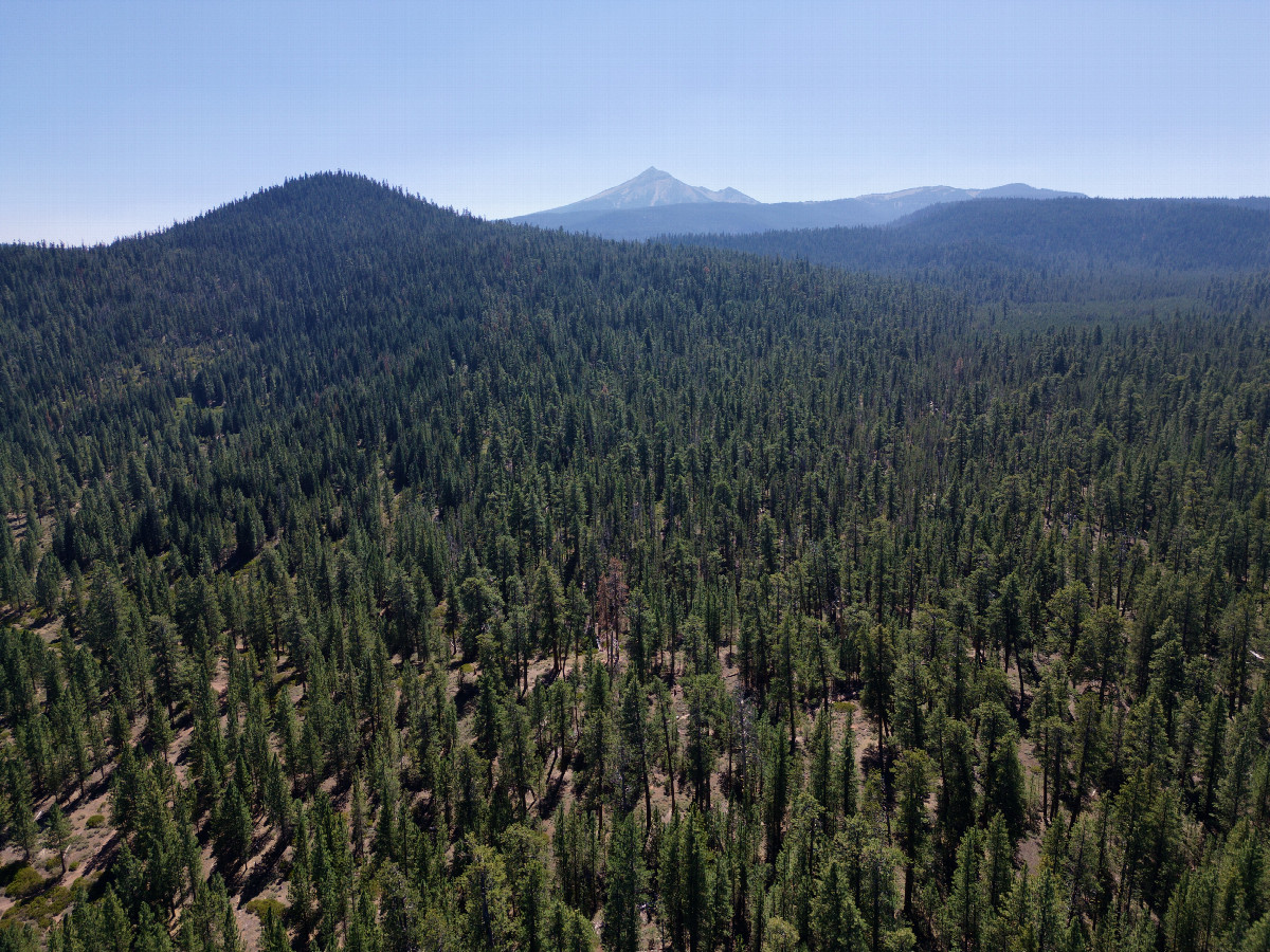 View South (with a view of Mount Scott), from 120m above the point