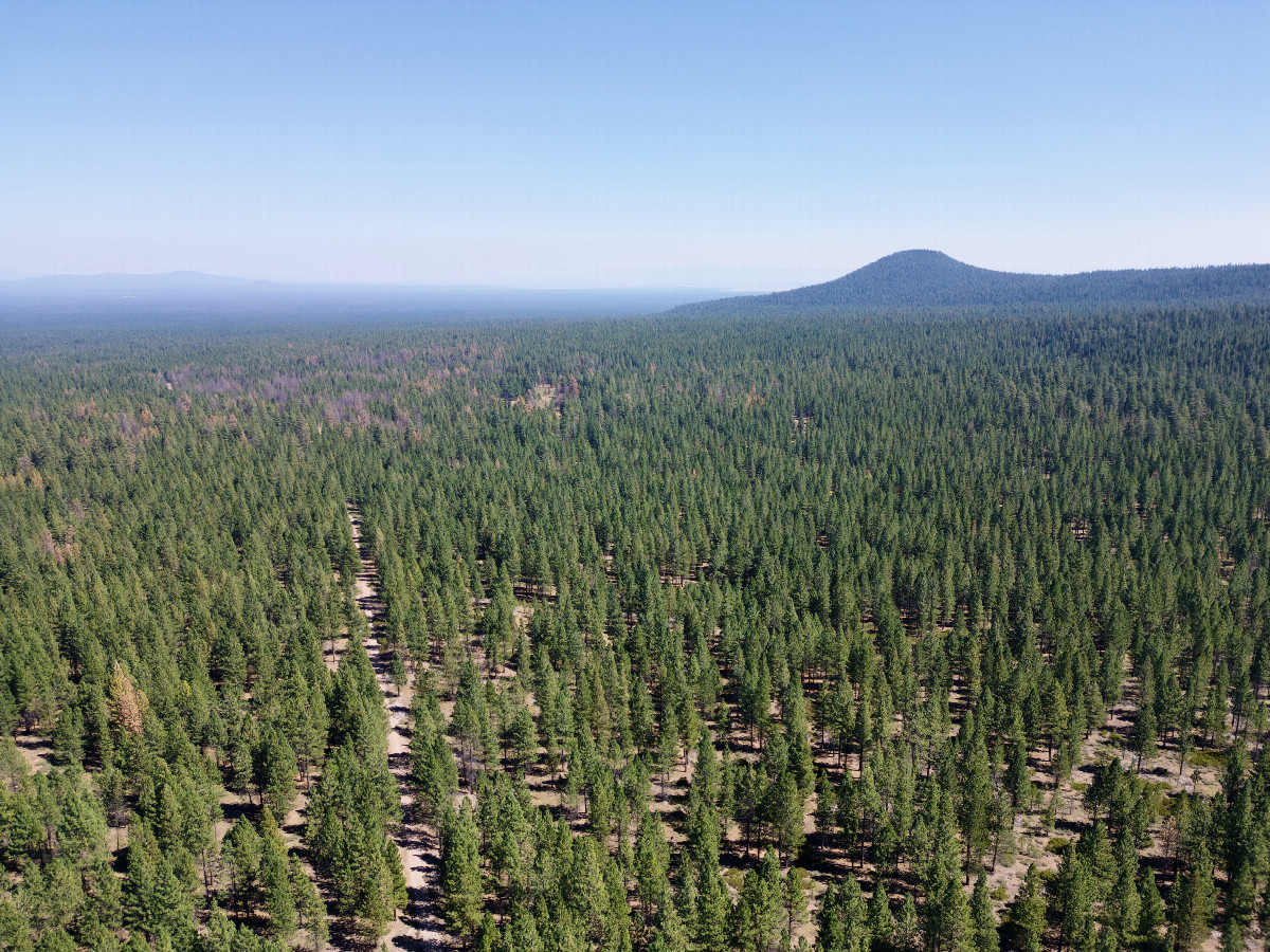 View East, from 120m above the point