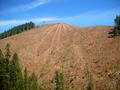 #4: View of the Clearcut Hill to the East