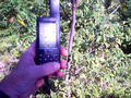 #6: GPS reading 43 00.000 N, 123 00.001 W