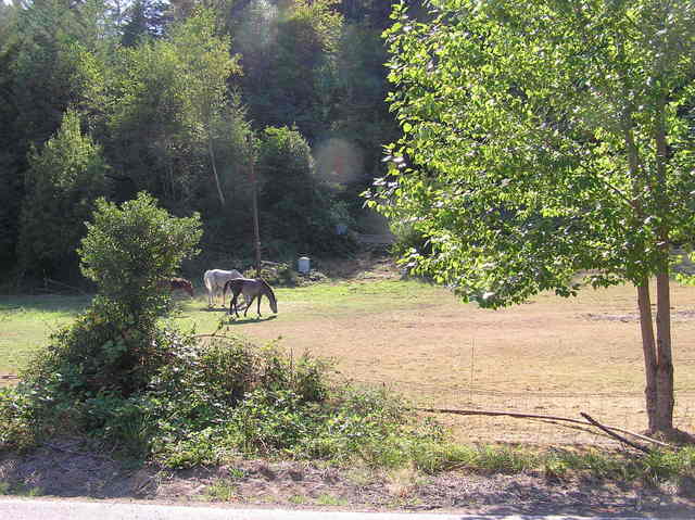 View West (showing the confluence point, and beyond)