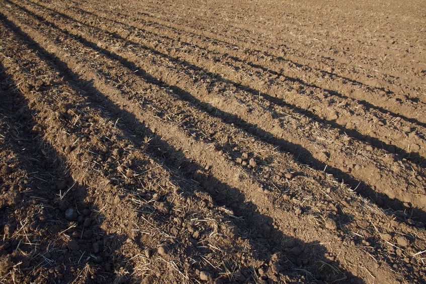 The confluence point lies in this (currently bare) farm field