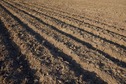 #5: The confluence point lies in this (currently bare) farm field