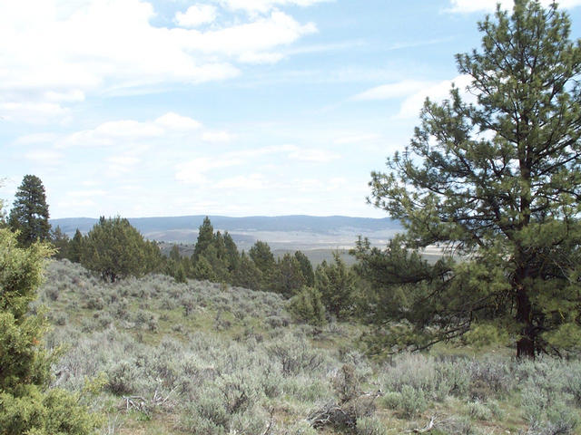 View of Confluence Site