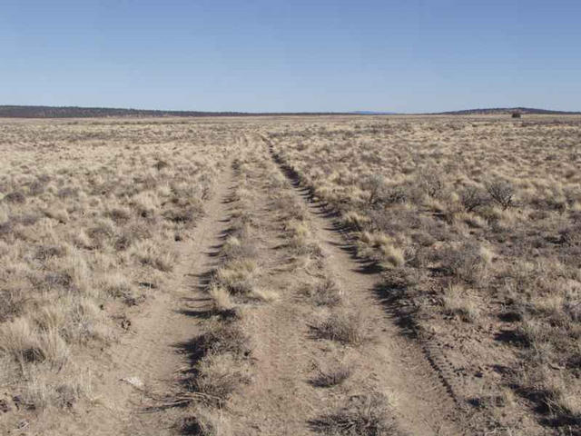 Looking east on BLM road near confluence