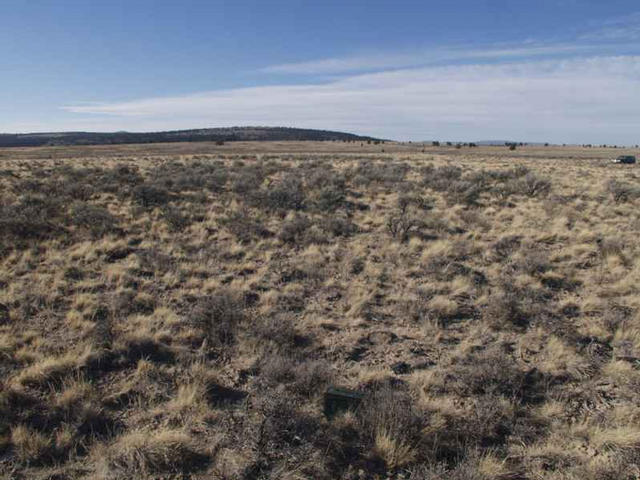 Looking west at Sulphur Butte