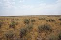 #3: View South