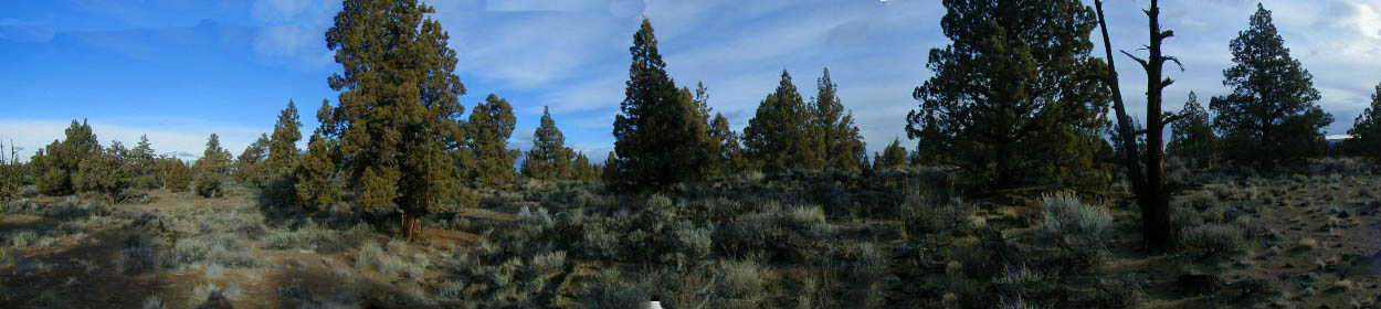 Panoramic view from the confluence point (thumbnail is a partial view).