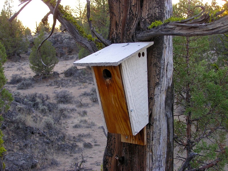 A closeup of the birdhouse