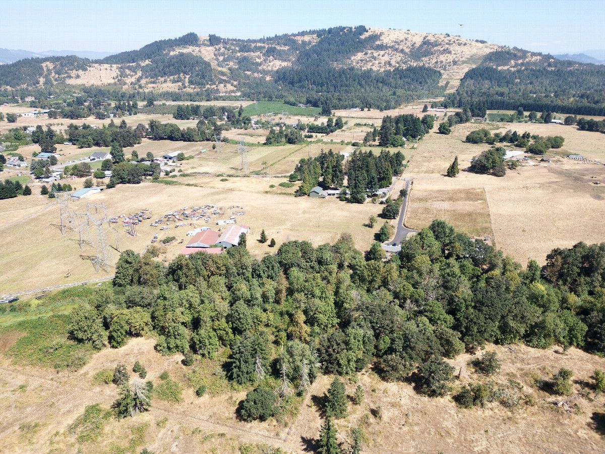 View East (towards Mount Pisgah), from 120m above the point