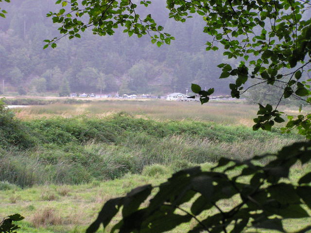 View north (across Duncan Island in the Siuslaw River)