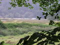 #2: View north (across Duncan Island in the Siuslaw River)