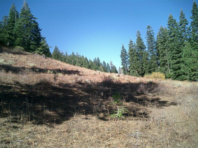 View of the confluence