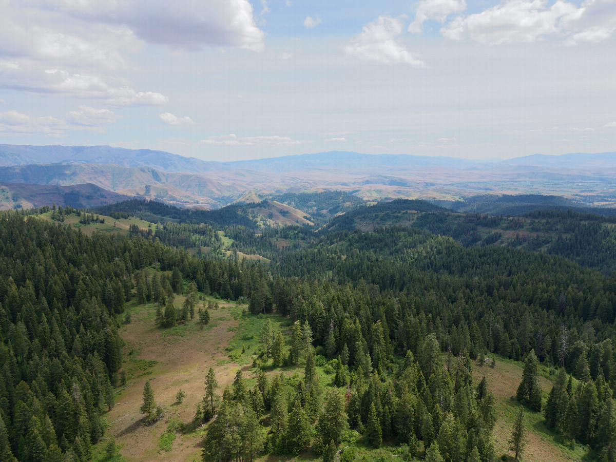 View South, from 120m above the point