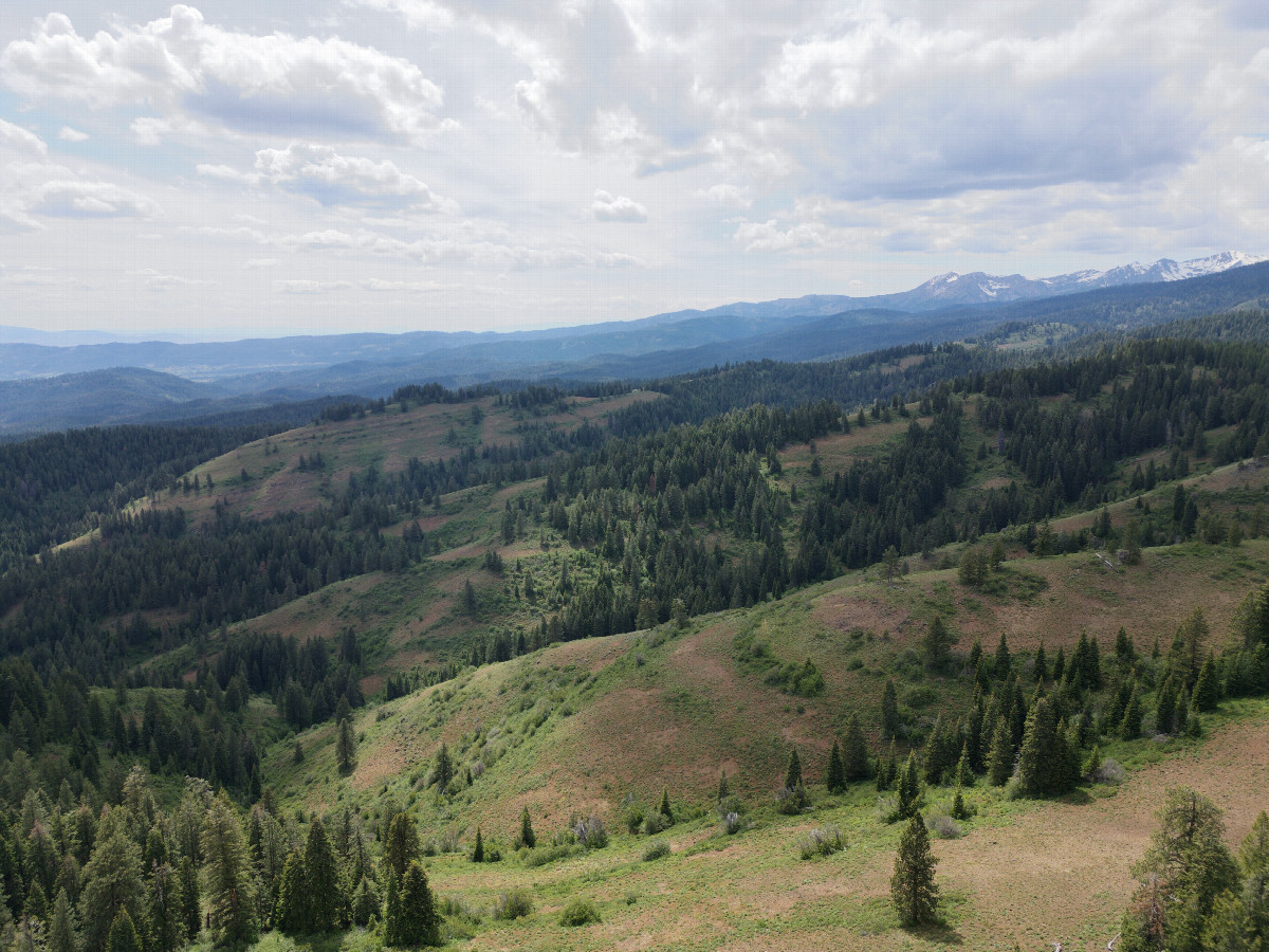 View West, from 120m above the point