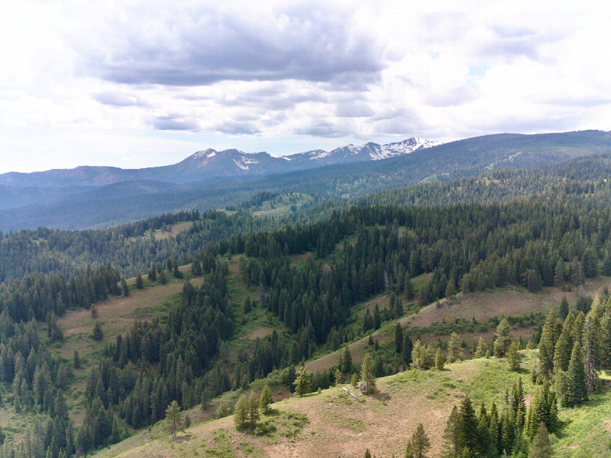 A closeup view of Cornucopia Peak to the Northwest, from 120m above the point