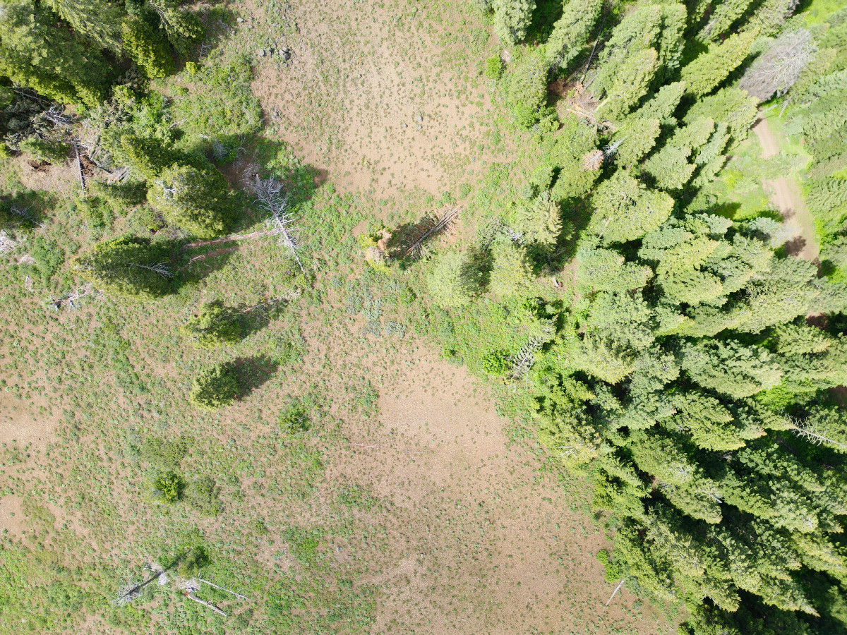 Looking down on the point from a height of 120m
