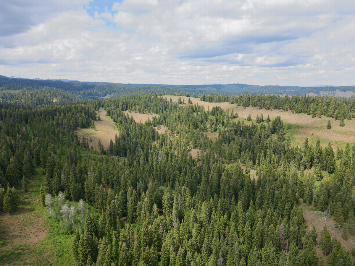 View North, from 120m above the point