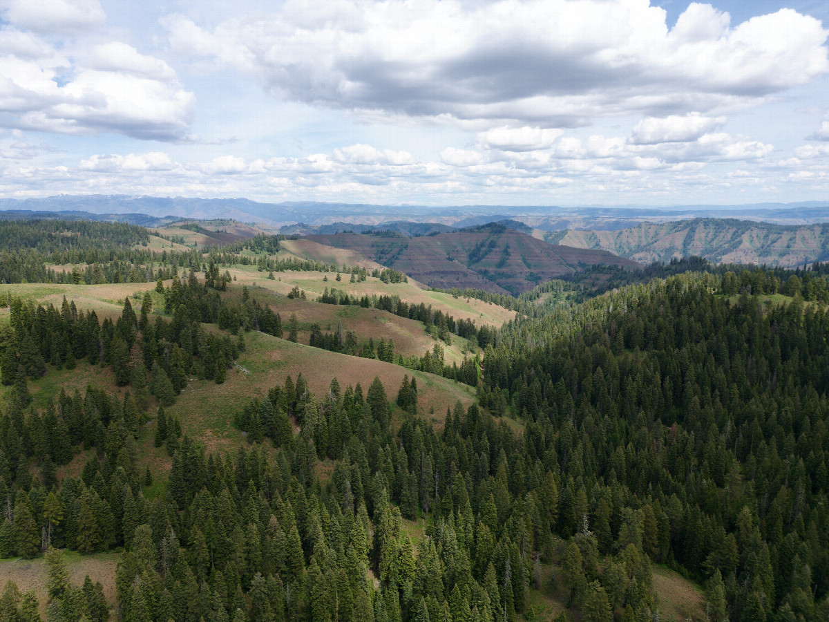 View East (towards Hell's Canyon), from 120m above the point