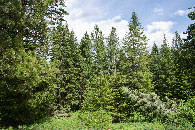 #2: View East