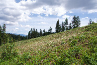 #3: View South