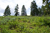 #4: View West