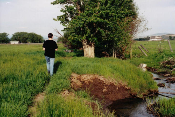 Staying closer to the irrigation canal kept us drier on the way out...