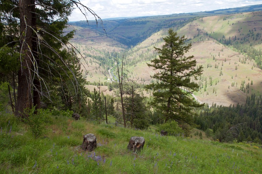 Looking down towards the Degree Confluence point and the John Day River from the ridge top