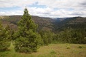 #2: View East (down the slope, towards the John Day River below)