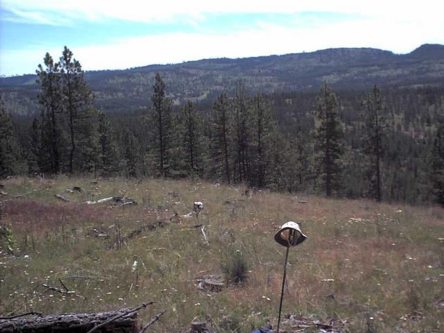 Looking southeast from the confluence