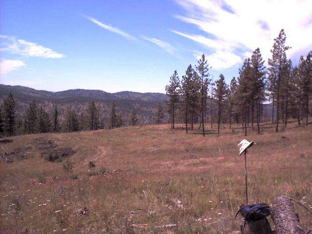 Looking southwest from the confluence