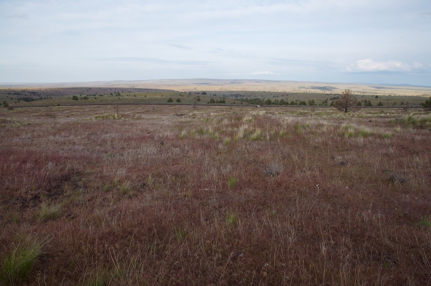 View East (towards Highway 197, just 0.2 miles away)