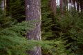 Visit #1: [23-Sep-00]