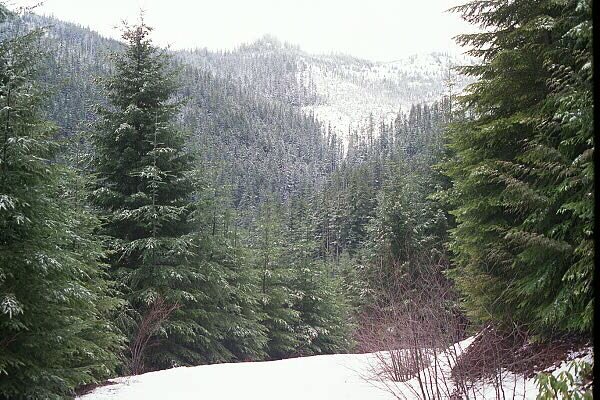 Typical scene from the road, near the confluence