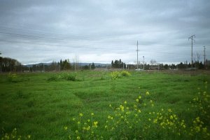 #1: Looking west from the confluence