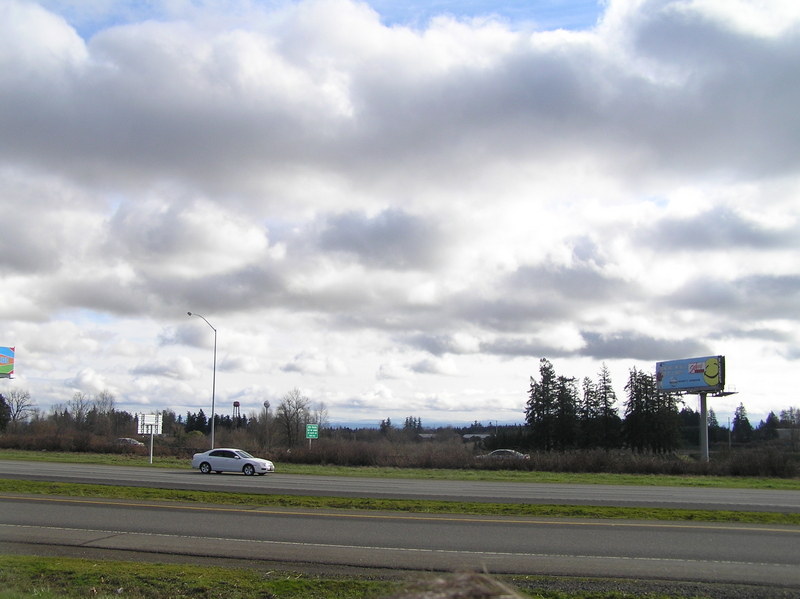 View to the east from the confluence.