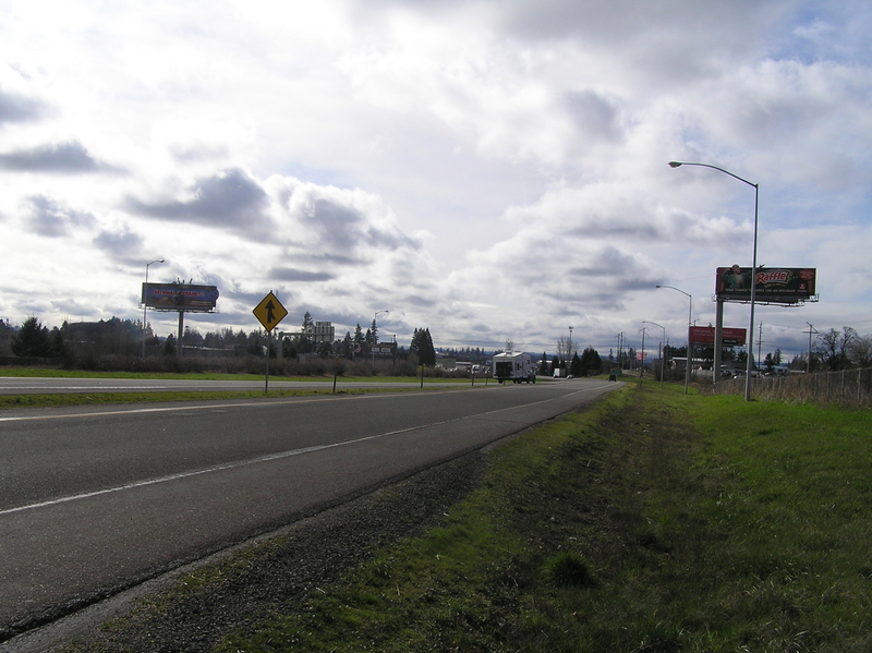 View to the south from the confluence.