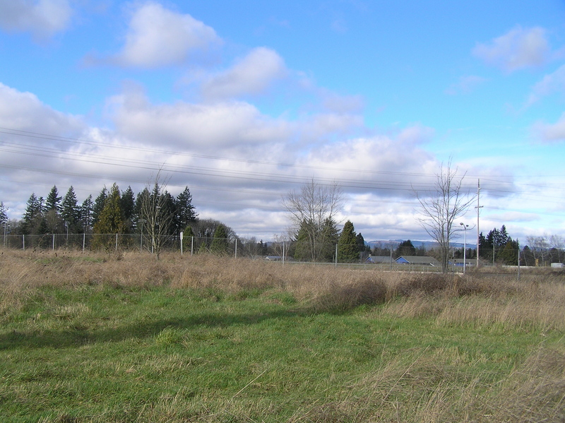 View to the northwest from the confluence. 