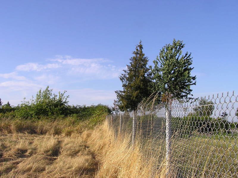 View North