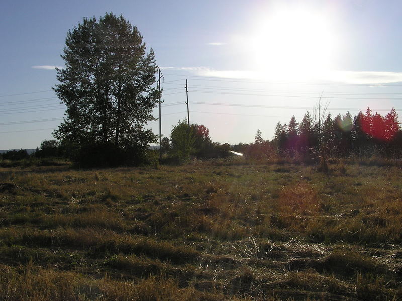 View West (into the late afternoon sun)