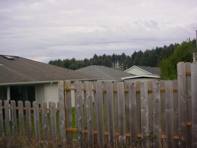 Looking West (toward Confluence)