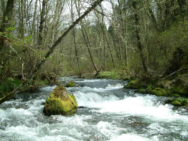 One of the "creeks" we had to wade across