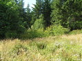 #3: View to the west from the confluence site.