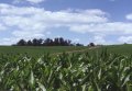 #3: Looking NE across 40N 76W