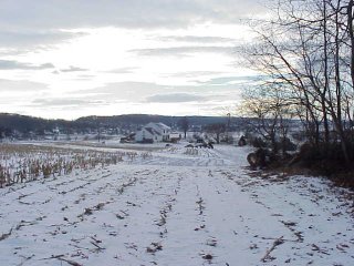 #1: Looking southwest, at the house